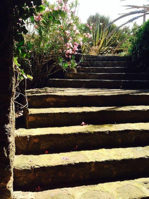 Holiday home Dammuso Sulla Scogliera - Pantelleria